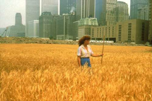 agnes_denes_wheatfield.jpg