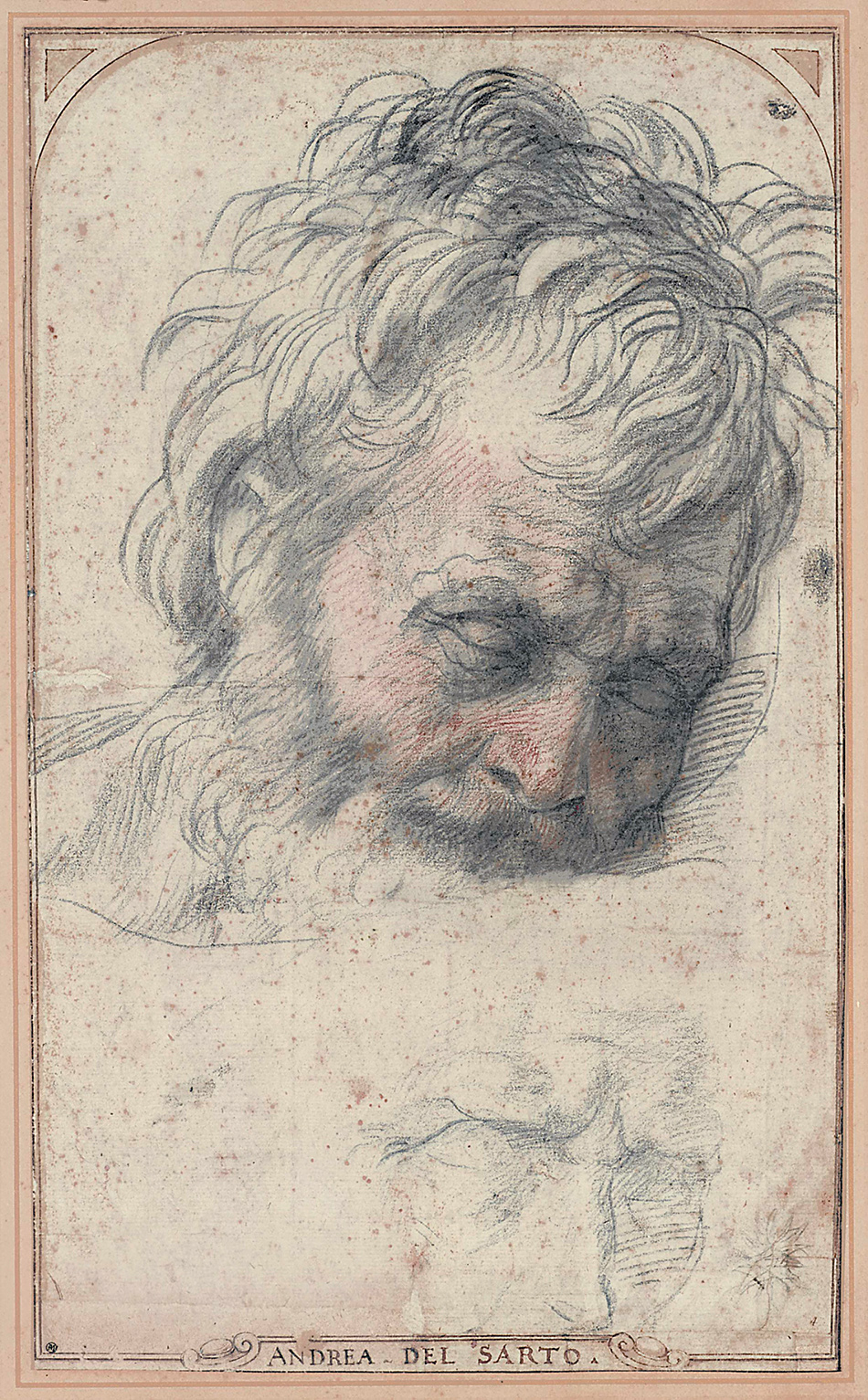 del_sarto_st_joseph_vasari_frame.jpg