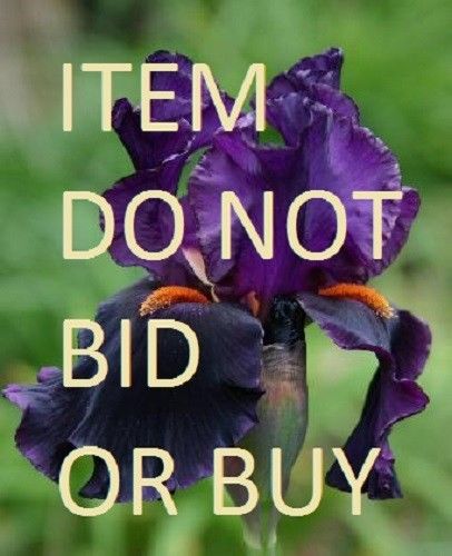 do_not_bid_or_buy_iris.JPG