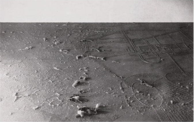 dust_breeding_contact_print_1920.jpg