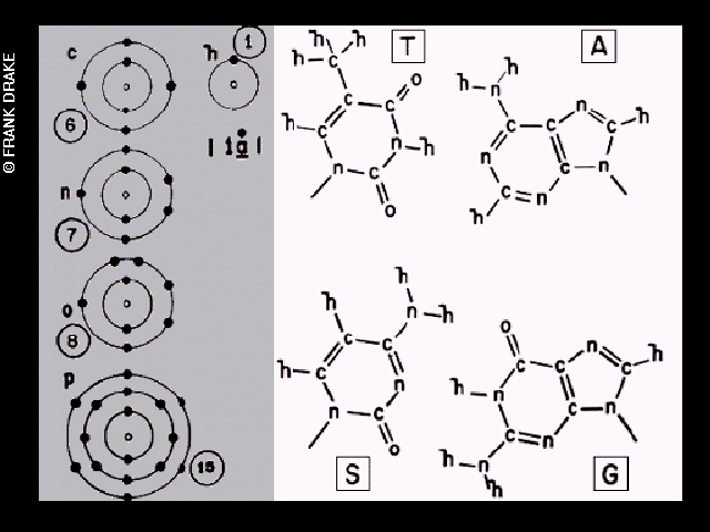 voyager_golden_record_chem_frankdrake.gif