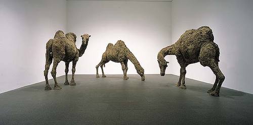 graves-3-camels.jpg