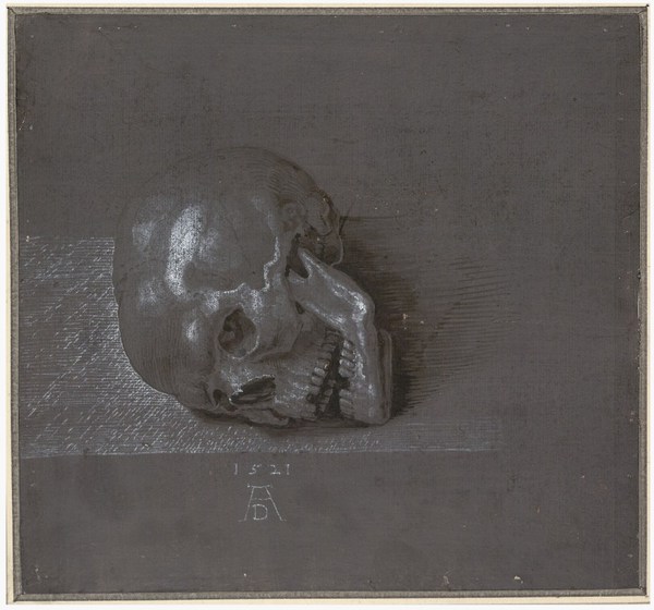 durer_skull_violet.jpg