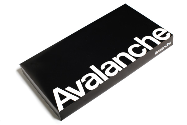 avalanche_primary_information.jpg