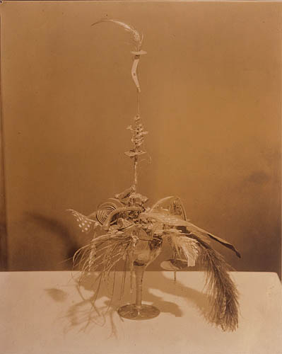 elsa_von_freytag_duchamp_portr_sheeler.jpg