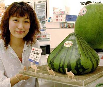 walter_robinson_pointy_melon.jpg image: shibuyabuya