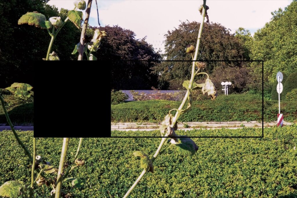 virgil b/g/ taylor's composition with sol lewitt's black form, a color photograph of a garden with green hedges, large road which appears as a stone path, and trees. Some plant branches are visible directly in the foreground. Centered in the image over the branches is the black outline of a rectangle. The left side of the rectangle is filled in to create a black square.