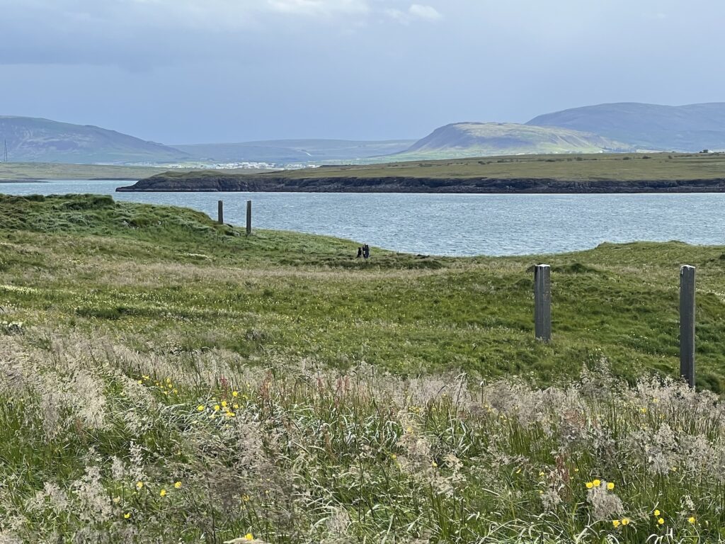 four rough basalt columns stand in close pairs across a grassy island in iceland. water in the middleground and the mainland in the background. a richard serra sculpture called afangar on videy island.