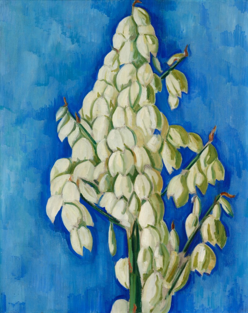 a painting of a stalk of white yucca blossoms against a bright blue background, brushy, by marsden hartley 