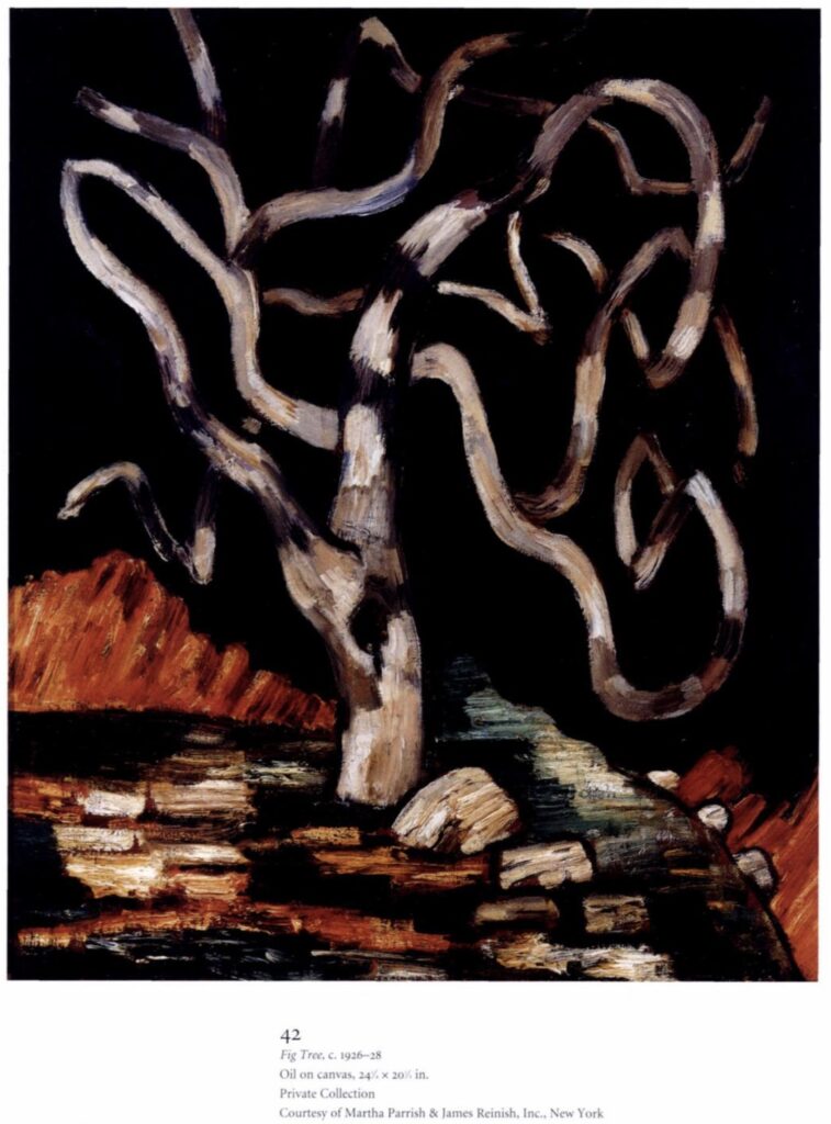 a painting of a leafless gray fig tree against a dark sky and red and dark ground, the branches curving all over the place, crossing themselves, like a brice marden painting from the 1990s, except it was painted in 1926 by marsden hartley. image is from the 2003 retrospective of hartley's work at the wadworth atheneum in hartford ct