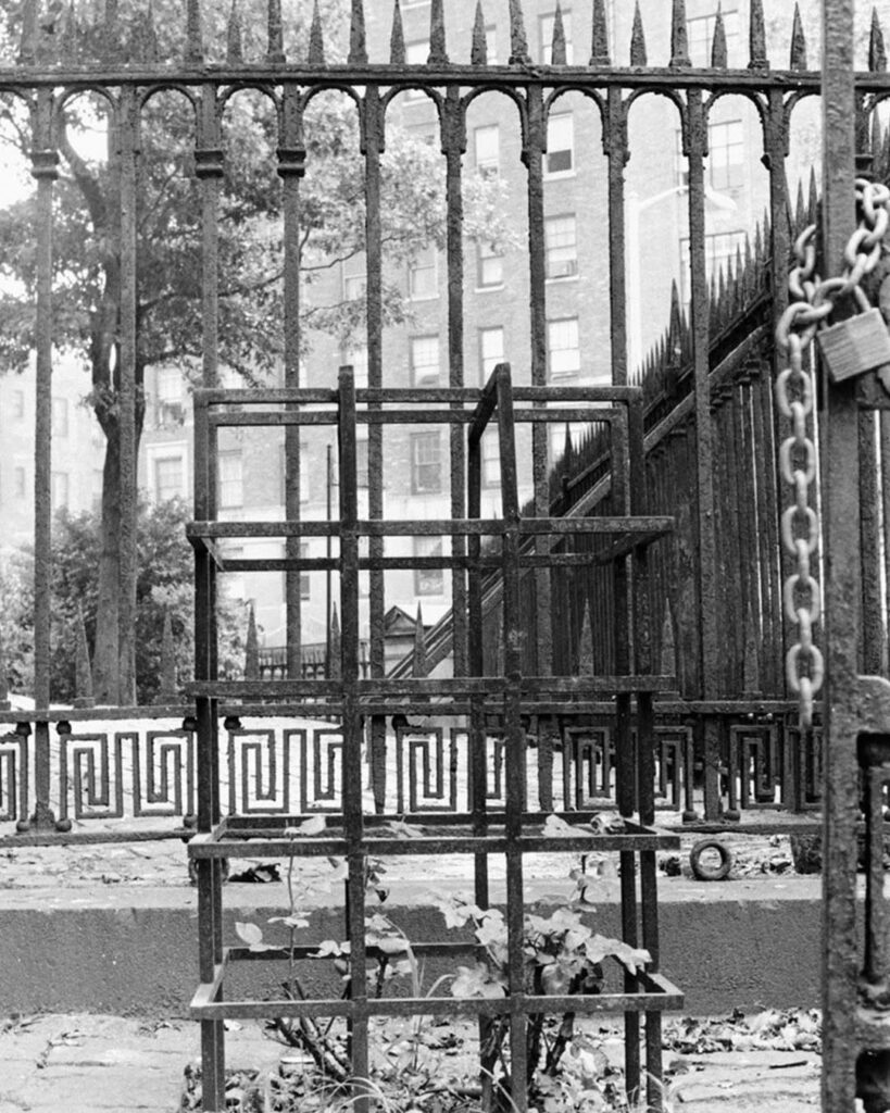 a black and white photo of a small rosebush in a gridded wrought iron cage set in a cobblestone-lined church yard, with the church's wrought iron fence visible behind and to the right of it, a 1972 image of a work by gordon matta clark at st marks church in the bowery in manhattan, posted to instagram in 2023 by david zwirner gallery.