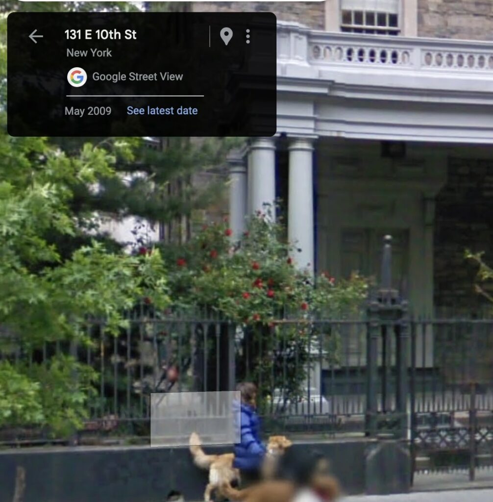 detail of a 2009 google streetview screencap of a white woman in blue puffy coat walking a golden retriever along the fenced entrance to st marks church in the bowery. behind her is a large rose bush the size of a rose tree, in bloom, right about where gordon matta clark planted a rosebush in 1972. his iron grid cage for that rosebush is not detectable in this photo.