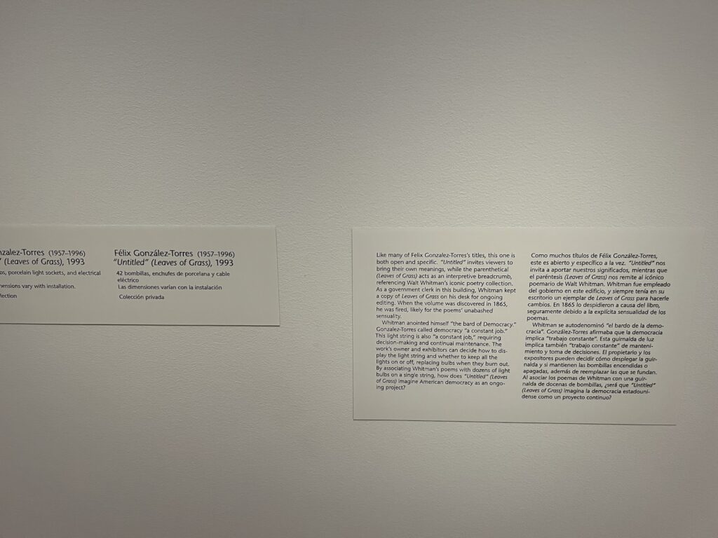 bilingual wall label at the national portrait gallery for felix gonzalez torres's lightstring, "untitled" (leaves of grass) Like many of Felix Gonzalez-Torres' titles, this one is both open and specific. "Untitled" invites viewers to bring their own meanings, while the parenthetical (Leaves of Grass) acts as an interpretive breadcrumb, referencing Walt Whitman's iconic poetry collection. As a government clerk in this building, Whitman kept a copy of Leaves of Grass on his desk for ongoing editing. When the volume was discovered in 1865, he was fired, likely for the poems' unabashed sensuality.
Whitman anointed himself "the bard of Democracy." Gonzalez-Torres called democracy "a constant job." This light string is also " a constant job," requiring decision-making and continual maintenance. The work's owner and exhibitors can decide how to display the light string and whether to keep all the lights on or off, replacing bulbs when they burn out. By associating Whitman's poems with dozens of light bulbs on a single string, how does "Untitled" (Leaves of Grass) imagine American democracy as an ongoing project?