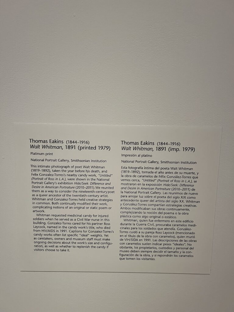 wall text for National Portrait Gallery, Smithsonian Institution's portrait of walt whitman:
This intimate photograph of poet Walt Whitman (1819-1892), taken the year before his death, and Felix Gonzalez-Torres' nearby candy work, "Untitled" (Portrait of Ross in L.A.), were shown in the National Portrait Gallery's exhibition Hide/Seek: Difference and Desire in American Portraiture (2010-2011). We reunited them as a way to consider the nineteenth-century poet as a queer ancestor of the twentieth-century artist. Whitman and Gonzalez-Torres held creative strategies in common. Both continually modified their work, complicating notions of an original or static poem or artwork.
Whitman requested medicinal candy for injured soldiers when he served as a Civil War nurse IN THIS BUILDING [all caps mine. -ed.] Gonzalez-Torres cared for his partner Ross Laycock, named in the candy work's title, who died from HIV/AIDS in 1991. Captions for Gonzalez-Torres's candy works often list specific "ideal" weights. Yet as caretakers, owners, and museum staff must make ongoing decisions about the work's size and configuration, as well as whether to replenish the candy if visitors choose to take it.