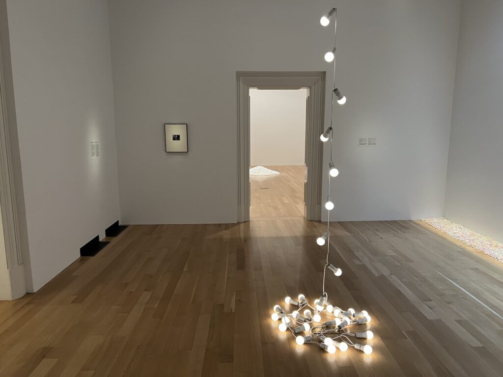 installation view of a small, darkened gallery at the smithsonian with a string of white lights hanging in the center and pooled on the floor, a foot-wide strip of multicolored striped candy along the base of the right wall, and a dark illegible photo (of walt whitman) on the far wall, and a pile of white candy visible on the floor of a brighter room beyond.