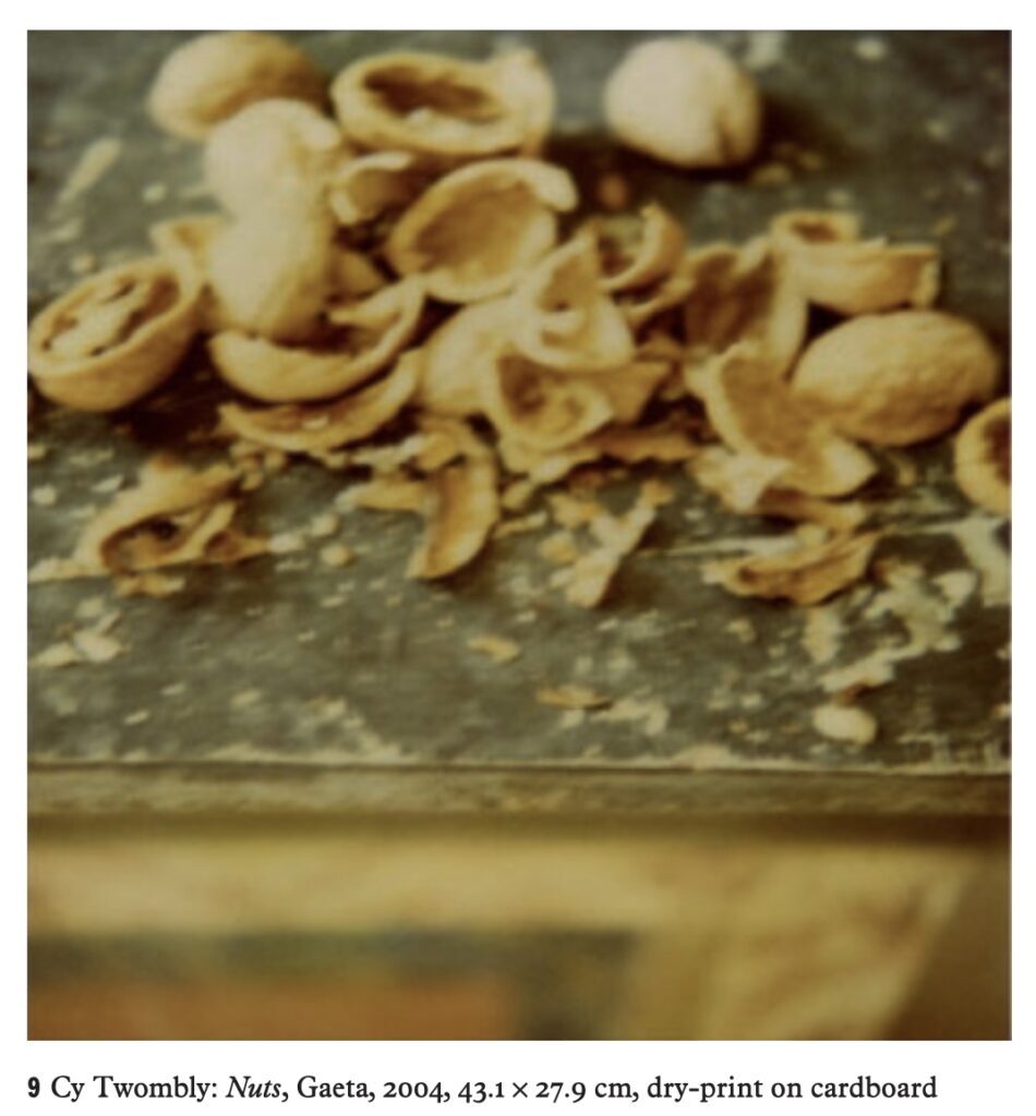 a screenshot of a color photocopy of a blurry polaroid by cy twombly of the edge of a painted wood table or credenza, which cuts across the lower quarter of the image, and the upper portion is filled with cracked walnut shells of various sizes and shapes on a dark mottled tabletop. a caption below reads, 9 cy twombly, nuts, gaeta, 2004, 43.1 x 27.9 cm, dry-print on cardboard, from steffen siegel's talk at cy twombly: bild, text, paratext, in 2012 at the university of cologne