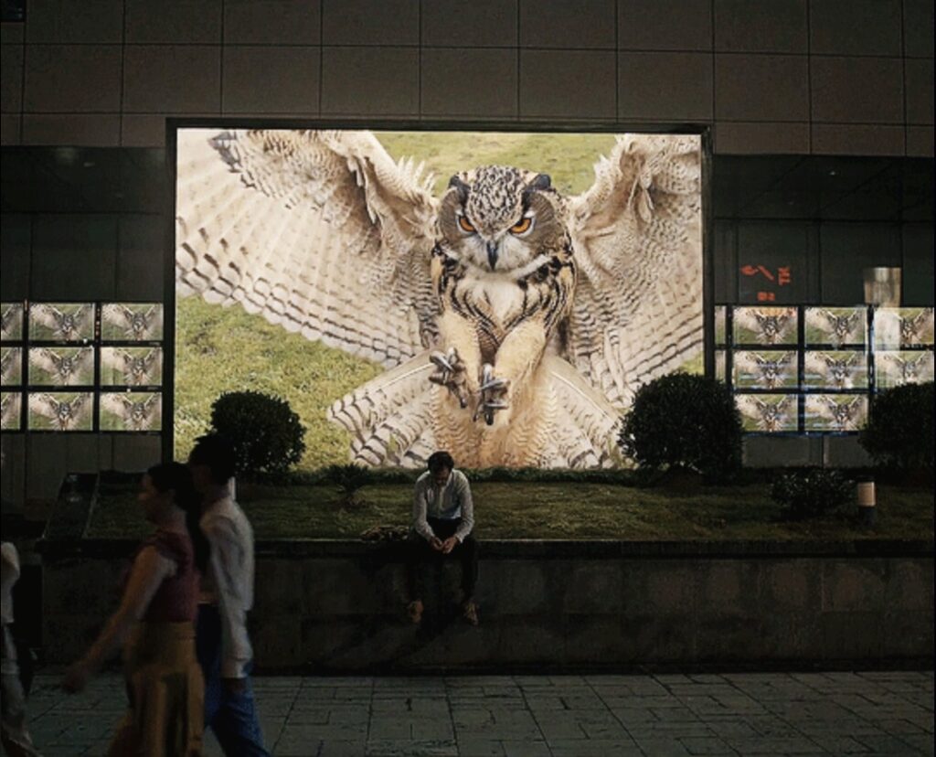 in a darkening evening street, joaquin phoenix's white loser character in spike jonze's her (2013) sits on a low wall, hands clasped, leaning forward, looking kind of sad or like a loser as people walk in front of him, oblivious. a giant screen behind him, and walls of video monitors on either side of that, like in a tv store, all show the same slow-mo stock footage clip of a horned owl swooping down, wings extended, talons out and pointed right, it turns out, at phoenix's back. for me this happens infinitely because i only know this scene from an animated gif created on tumblr by bladesrunner