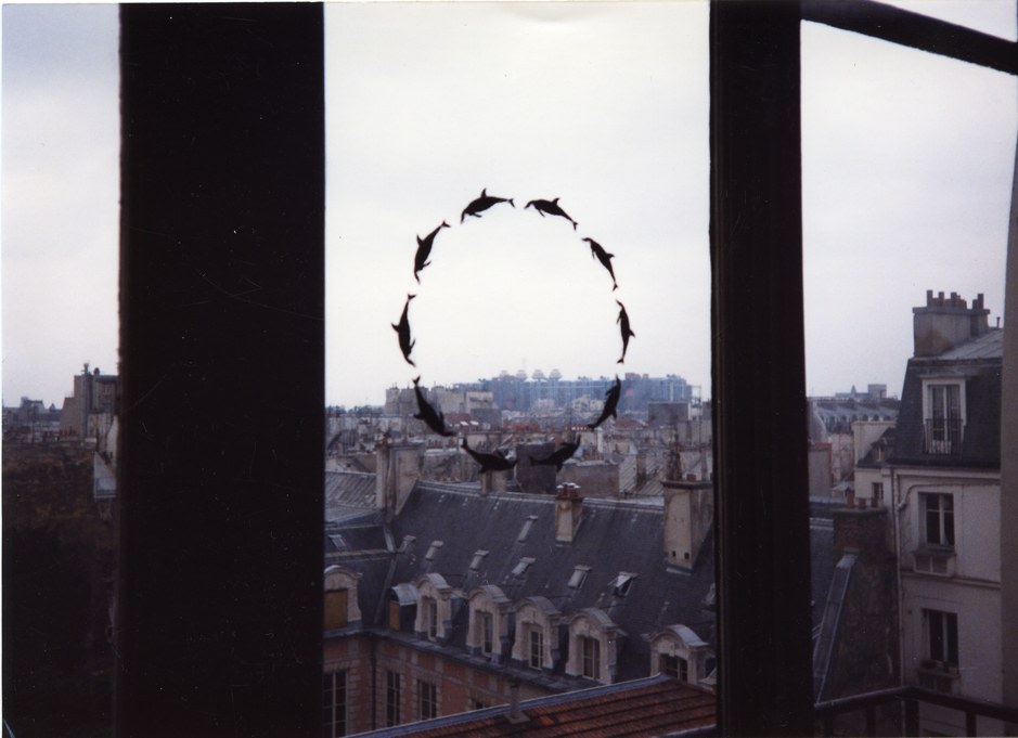a ring of 10 stylized dolphins drawn in black is printed in the middle of the window of a parisian gallery, with the cityscape behind it. this 1990 rub-on transfer edition by felix gonzalez torres was included in tattoo collection, a 1992 exhibit at jennifer flay gallery, as both a rub-on transfer and a tattoo. image: air de paris via felix gonzalez torres foundation