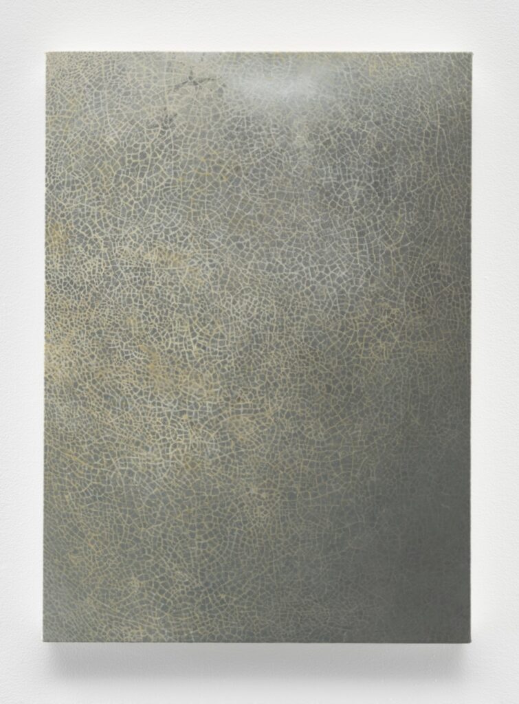a vertically oriented painting dominated by concrete grey color depicts the tiny cracks and crazings on the glazed surface of a chinese porcelain vase, including the darker lower right corner, where the curved form of the vase seems to recede, a 2017-18 painting titled vase by vija celmins via matthew marks gallery