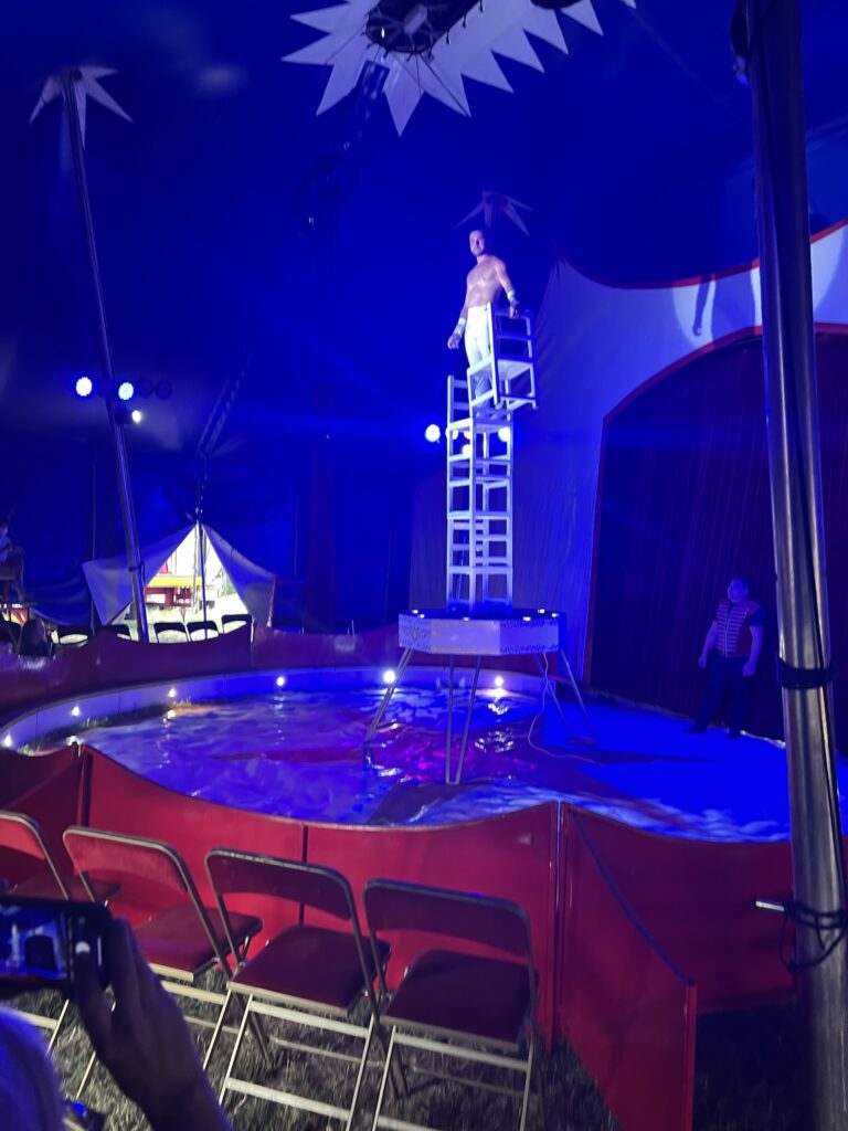 in the ring of a small, deep blue circus tent, a white shirtless acrobat in white pants stands atop a tower of white wood chairs, soliciting applause while holding the final chair he's about to stack. a spotter, who is also the animal trainer, magicien, and occasional mc in this five-person cricus, stands in the shadow in front of the curtain.