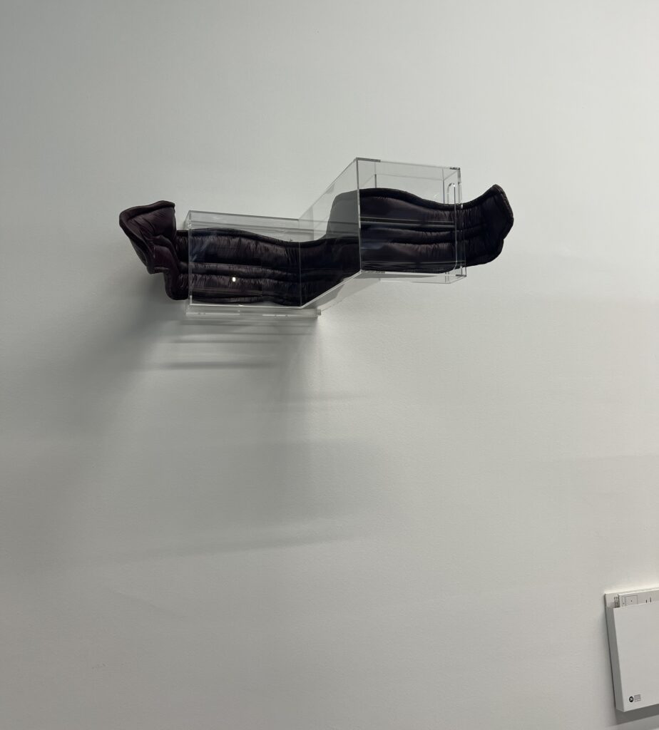 a purple fabric-wrapped bendy sculpture protrudes from the zigzag acrylic box that is set on the wall of the pompidou library